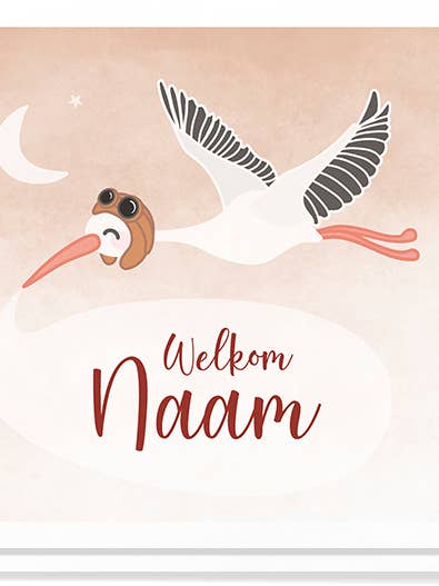 Geboortekaartje Ooievaar for engroshandel hos liefs jansje