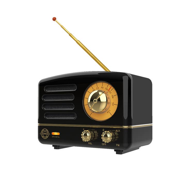 Muzen - Wholesale Speakers - MUZEN OTR Metal Wireless Portable FM Radio Bluetooth Speaker0