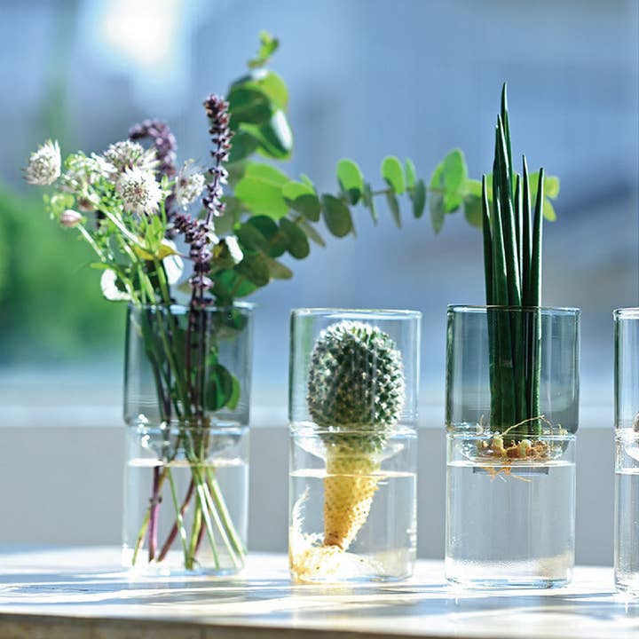 HARIO USA - Wholesale Vase - Glass Flower Vase18