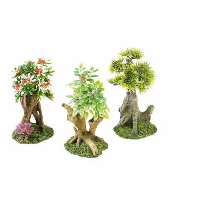 Assortiment de 6 mini-bonsaïs pour la vente par Classic Pet Products