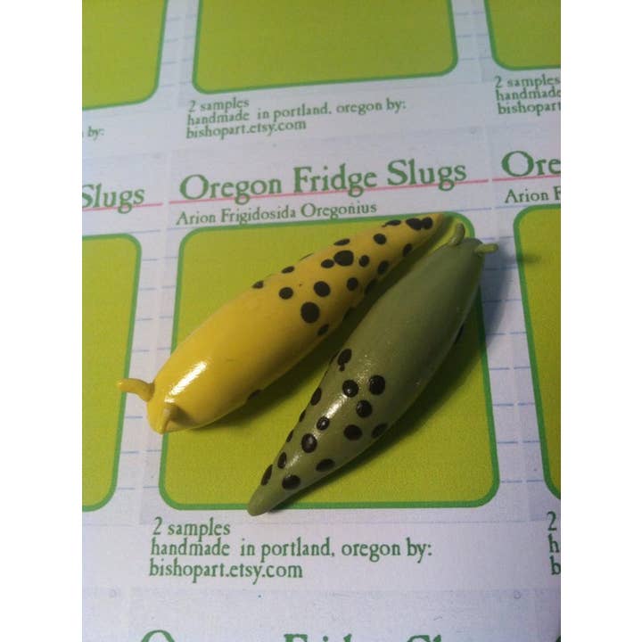 Oregon Fridge Slugs Magnet Set for wholesale by bishopart
