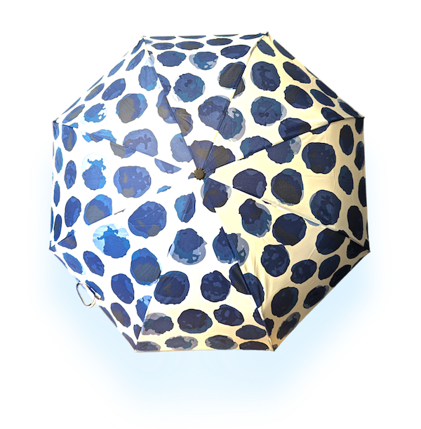 EyeLevel – wholesale Umbrella – Women's – Mini Umbrella - 4 Patterns - RRP £9.997