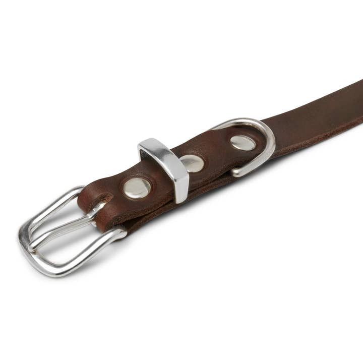 Molly and Stitch - Wholesale Pet Collar - Dog - Butter Leather Dog Collar - Classic Brown5