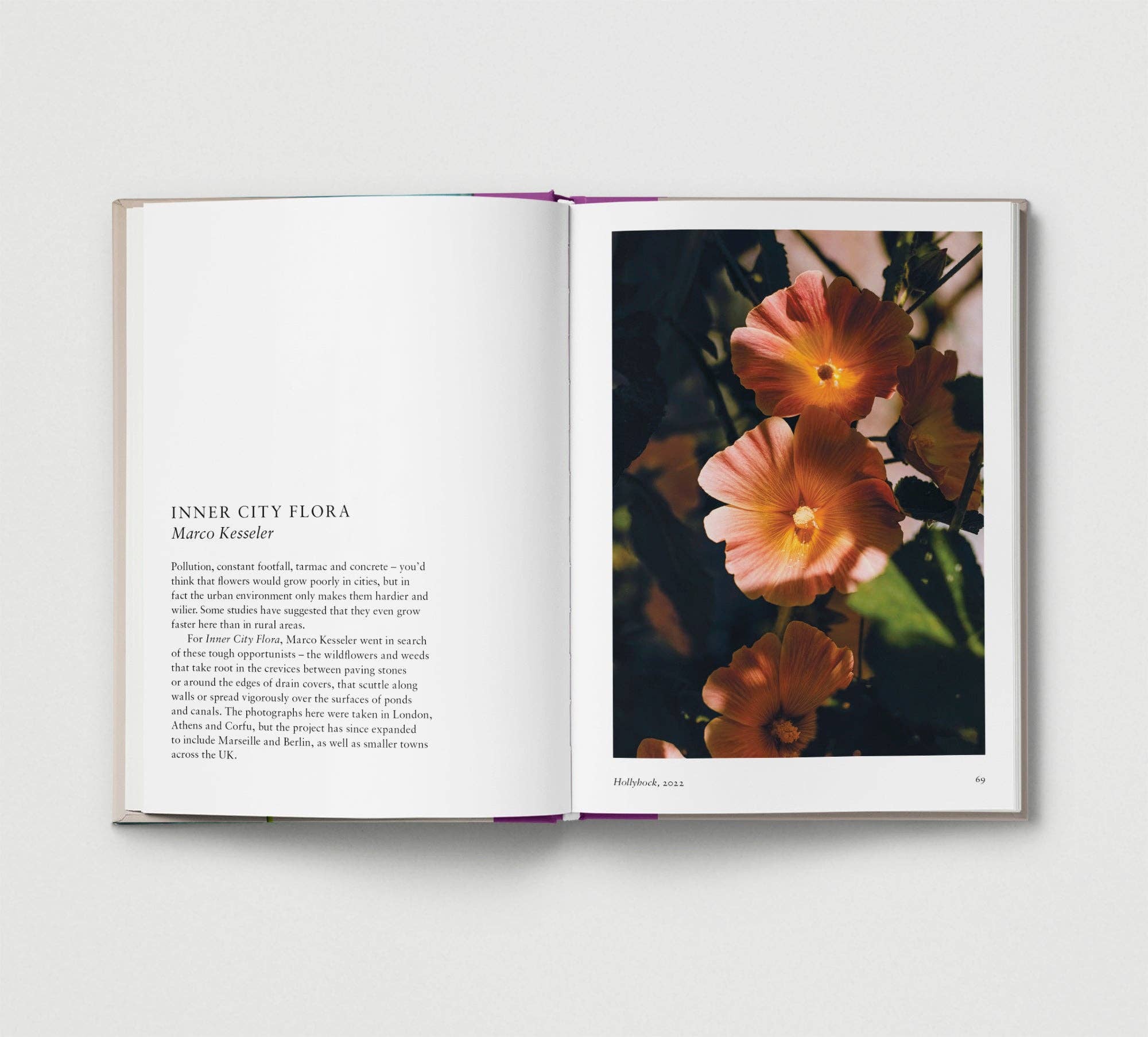 Hoxton Mini Press – wholesale Display book – Flower.2