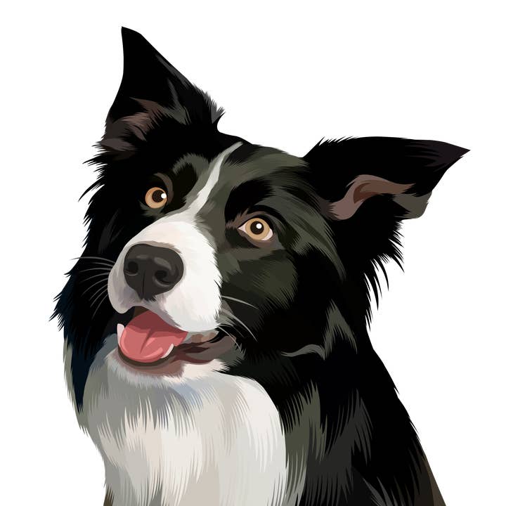 No-en designs - Venta al por mayor Tarjetas de felicitación - Tarjeta border collie