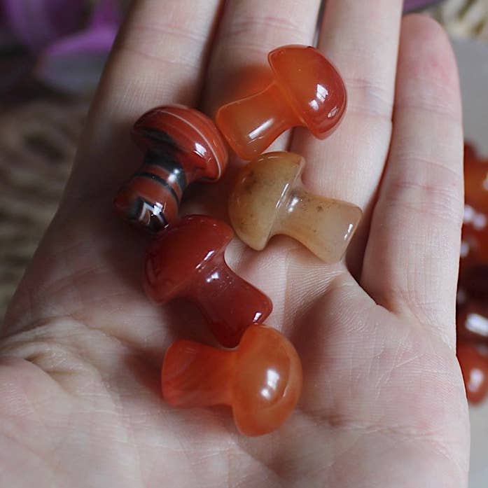 Pebble House - Wholesale Spiritual Stone/Crystal - Carnelian Mini Mushroom (Crystals & Stones)0