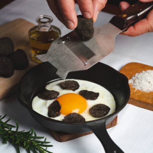 LORD TRUFFLE - Vendita all'ingrosso Salse - Tartufo nero estivo fresco intero 17g, conservato Salamoia