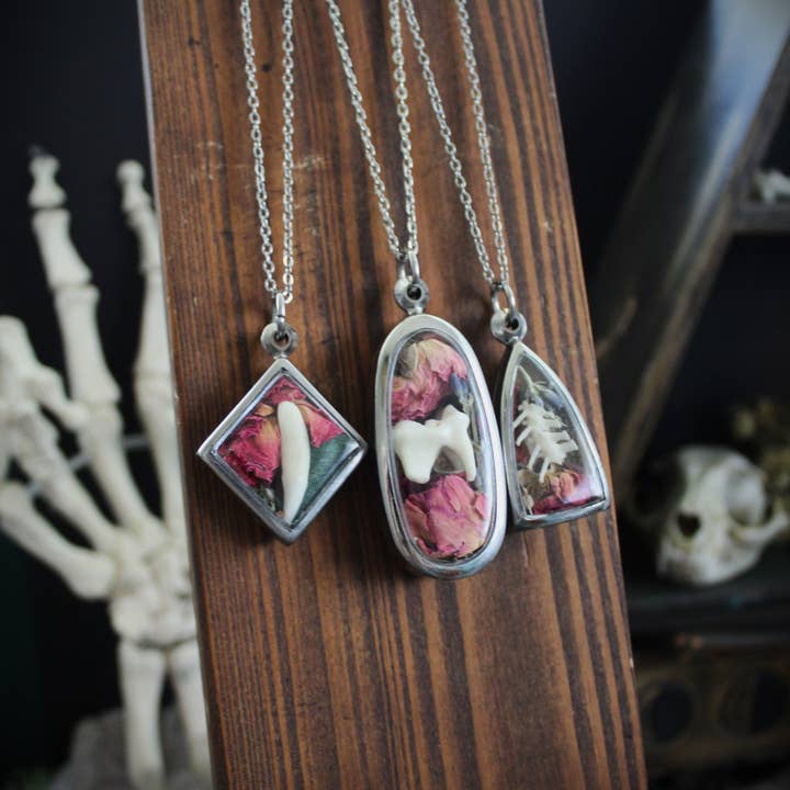 Kitty Bomb Curios - Vendita all'ingrosso Collana con ciondolo/pendaglio - Collane d'ossa strane reliquie finestra dente gioielli collana2