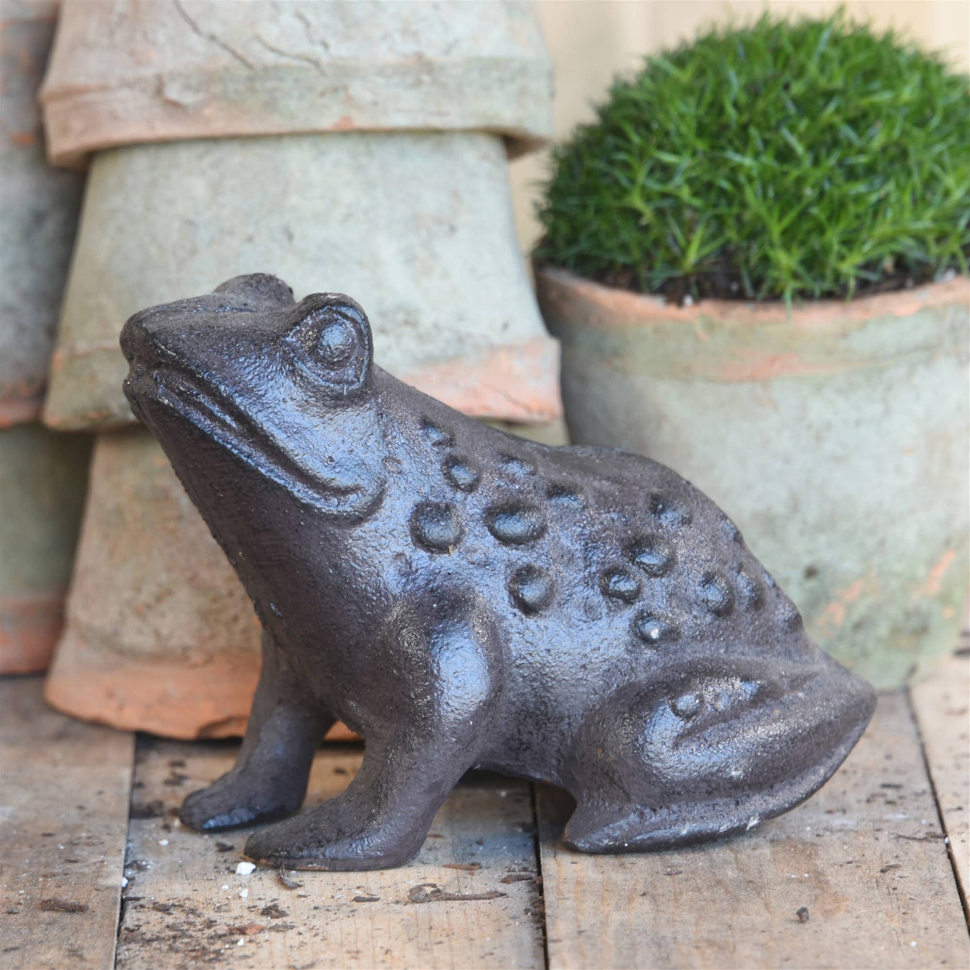 HomArt - Wholesale Decorative Figurine - Garden Frog, Cast Iron - Brown3