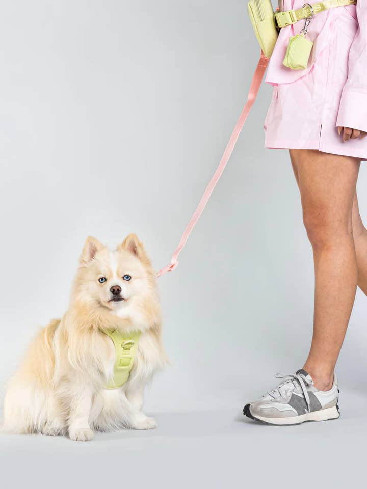 Laisse ajustable pour chien Twist Lock Secure - Nosey Pink pour la vente par Lulu's from Cali