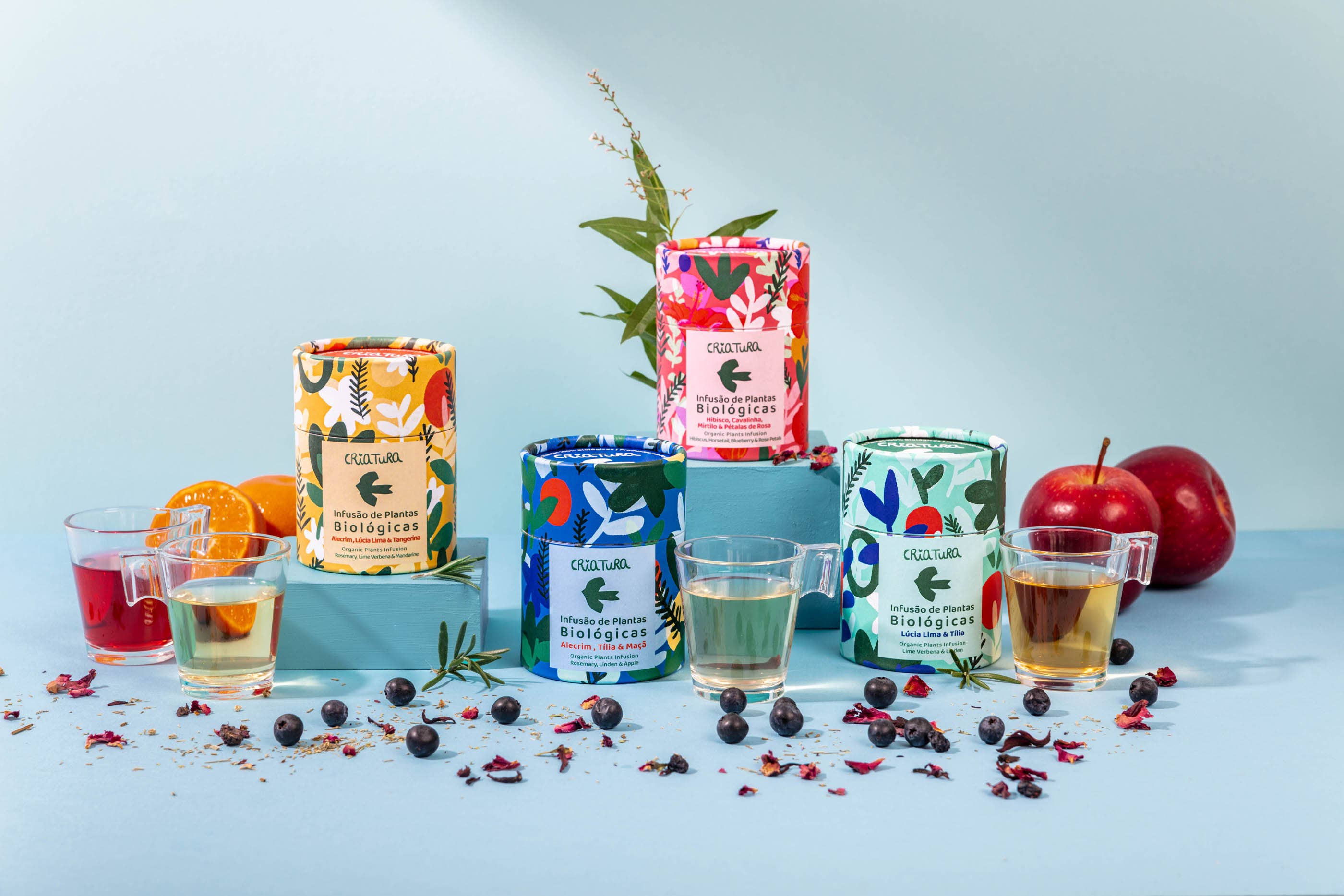 CRIATURA - Venta al por mayor Tés saludables/desintoxicantes - Té Herbal Orgánico - Romero, Tilo y Manzana2