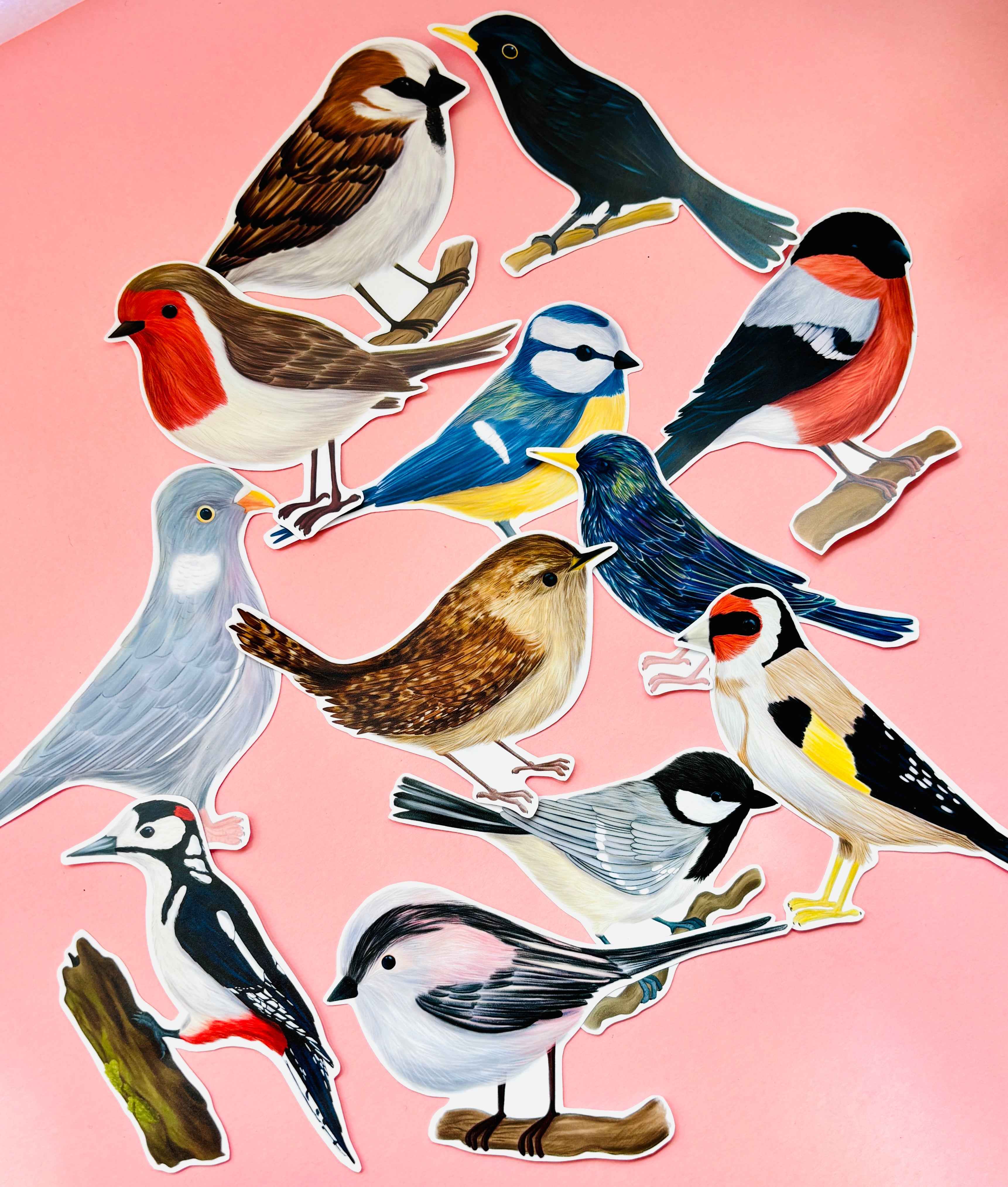 Pixiecraft - Wholesale Sticker - Garden Birds 10cm Vinyl Stickers: Nature Inspired Waterproof Decals13