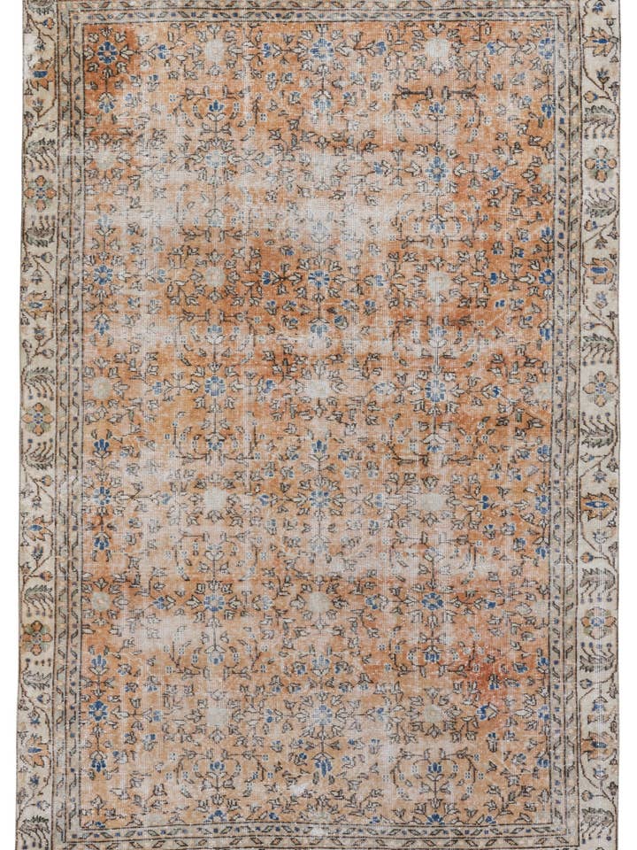 Luciana - 6' x 9'3" für den Großhandel von Biev