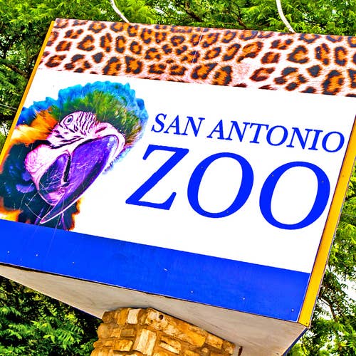 The San Antonio Zoo Coaster for wholesale by South Austin Gallery