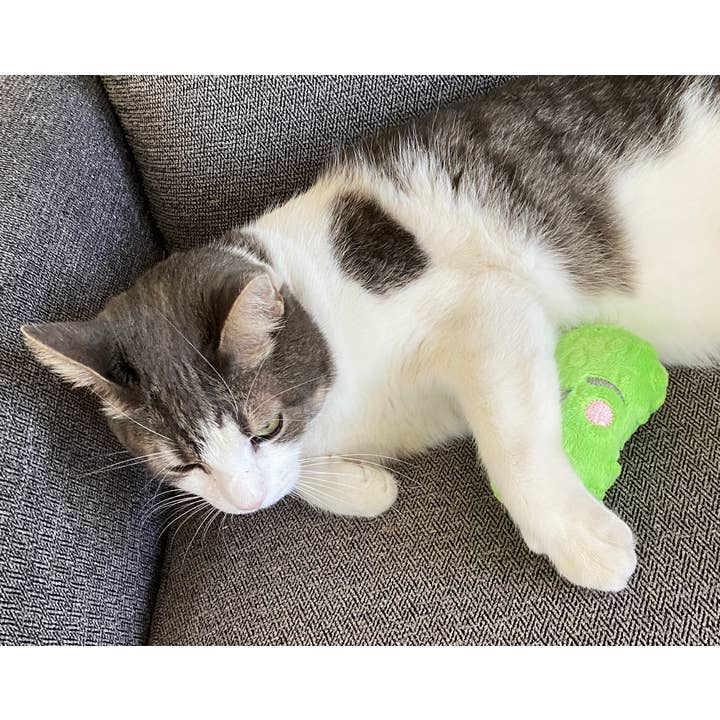 Screaming Pickles - Vente Jouet couineur – chien - Jouets pour animaux de compagnie faits à la main - Catnip/Dog Squeaker Mini Pickle15