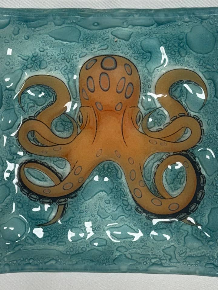 Nuovo Piatto Quadrato / Piatto Polpo per la vendita all'ingrosso da parte di Pampeana