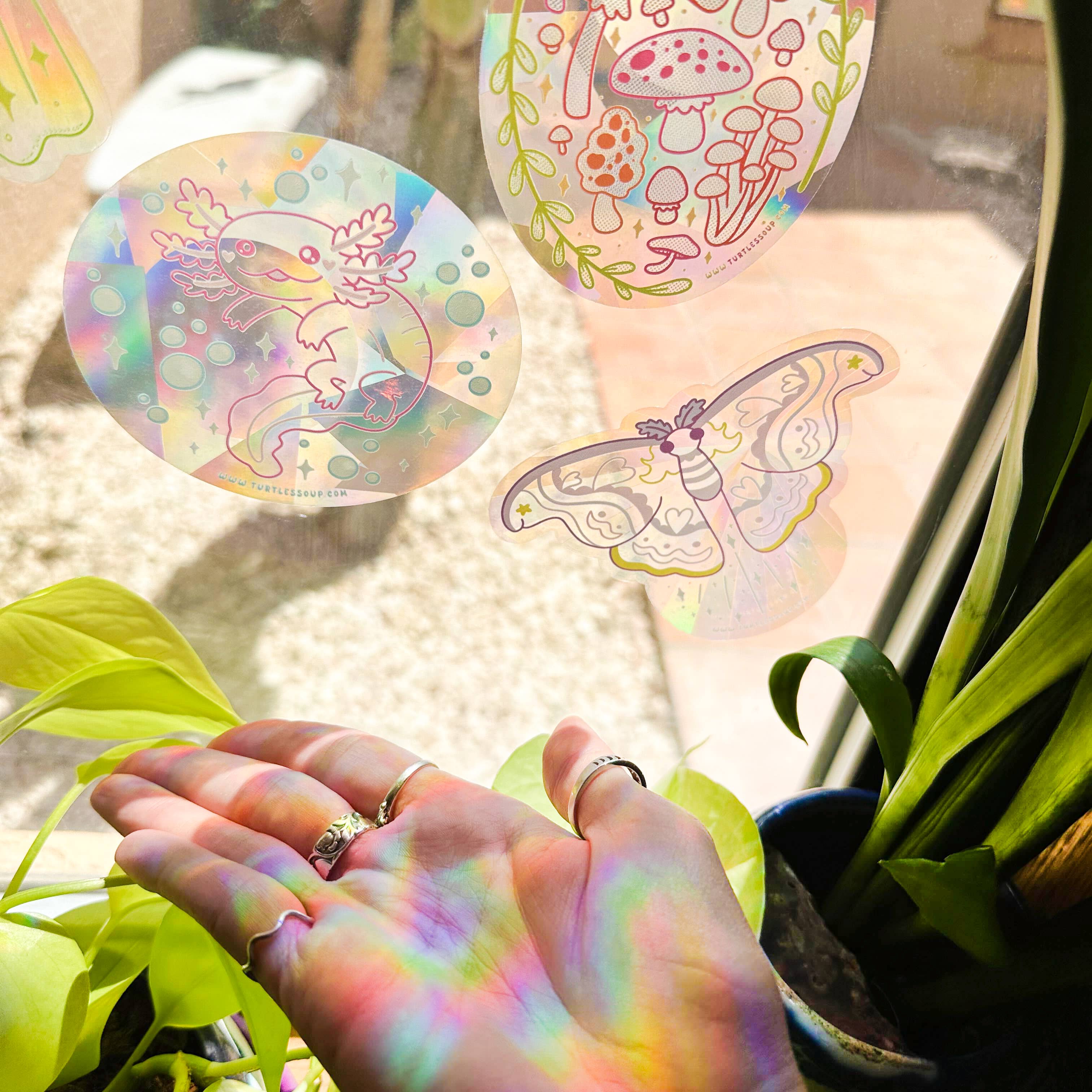 Turtle's Soup - Wholesale Suncatcher - Mushrooms Fungi Suncatcher Window Rainbow Vinyl Sticker2