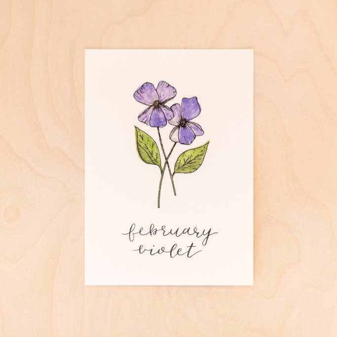 Birth Month Flower Print: February, the Violet for wholesale by Kallos Ink