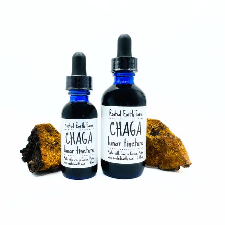 Rooted Earth Farm + Apothecary - Wholesale Tincture - Maine Chaga Tincture - 2 Size Options