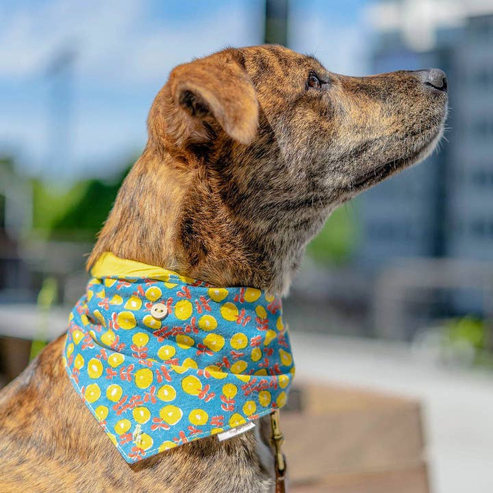 the furryfolks - Wholesale Pet Bandana - Dog - Japanese Cotton-Linen Dog Bandana, South Korea Made