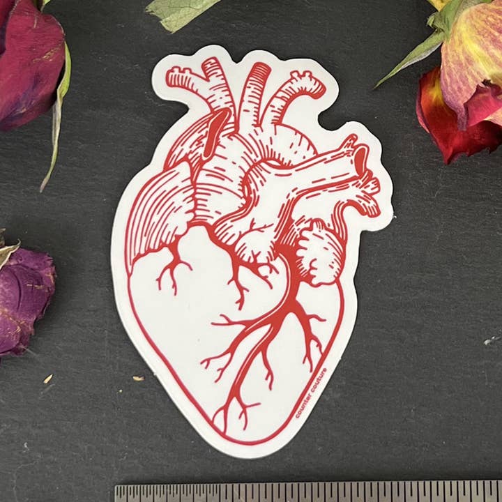 Autocolante de Coração Anatómico | Desenhado à Mão | Fabricado nos EUA por atacado de Counter Couture