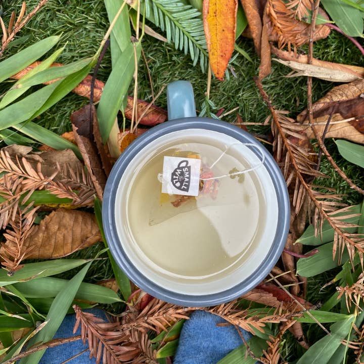 Small and Wild Company - Wholesale Tea bags - Toffee Apple Tea2