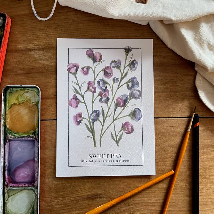 Sweet Pea Mini Print with Meaning for wholesale by Pippin Prints