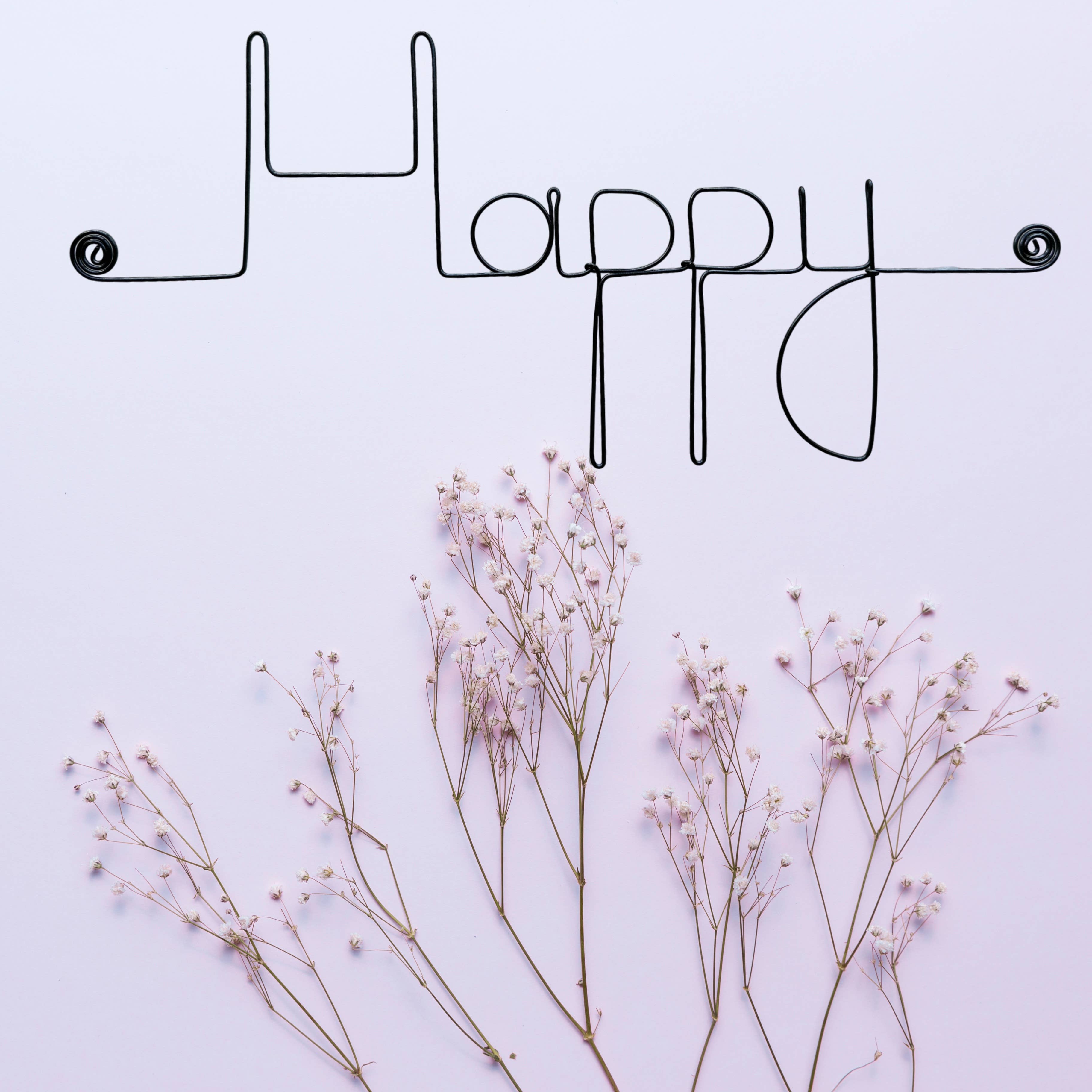Bijoux de Mur - Wholesale Wall Accent - Wire Wall Decoration "Happy" - for tacking up - Wall Jewelry1