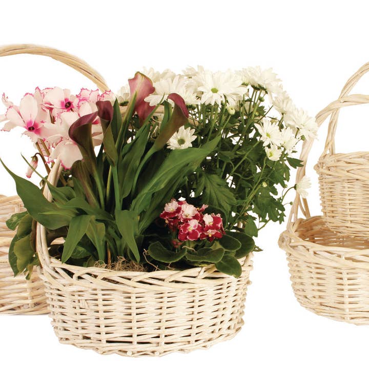 WALD IMPORTS - Wholesale Basket - Set of 4 Whitewash Willow Baskets