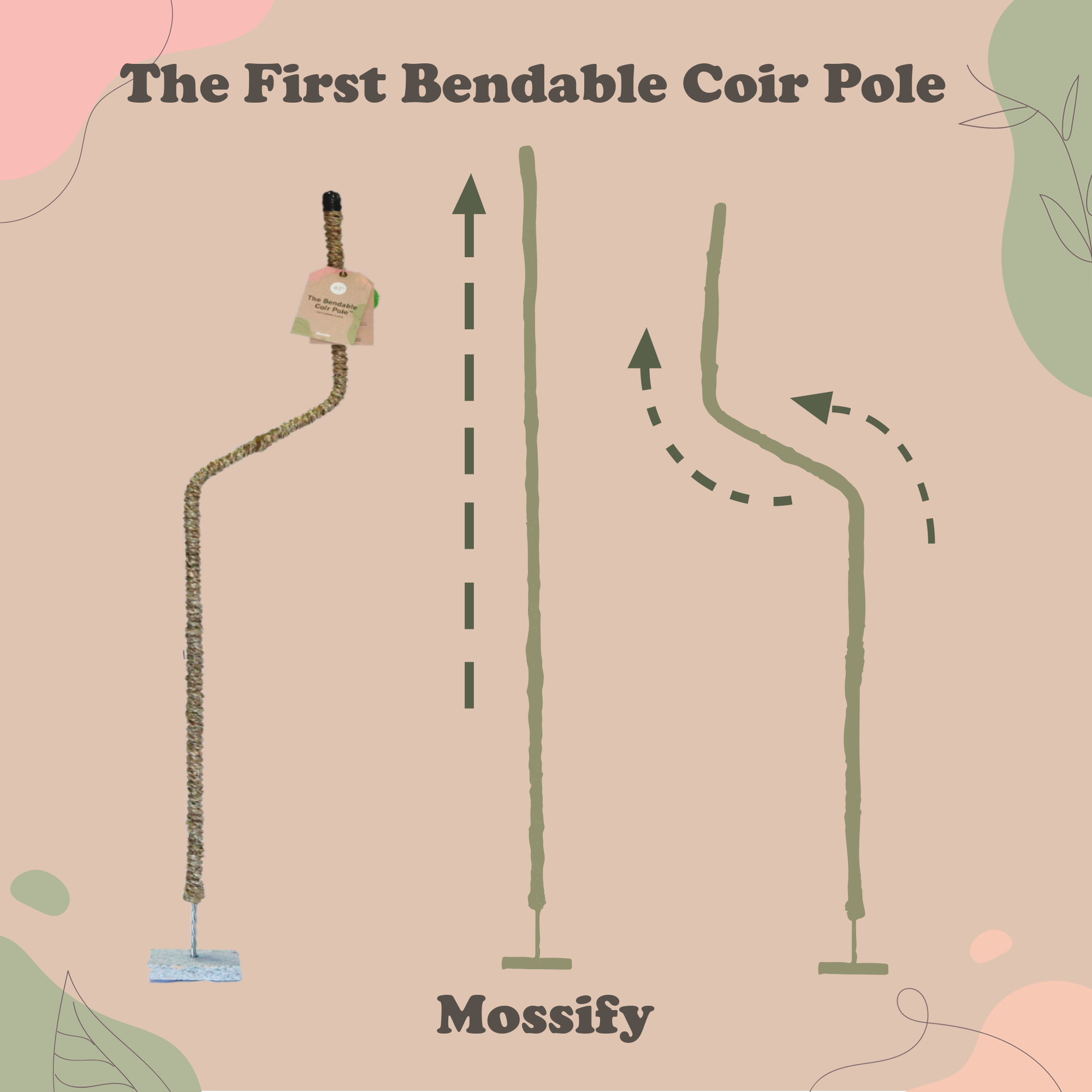 Mossify - Wholesale Trellis - Bendable Coir Pole™ – Flexible Plant Support for Tropicals11