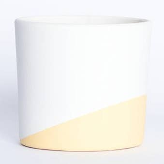 Vaso Giallo con Bianco 14cm per la vendita all'ingrosso da parte di Miniplanta