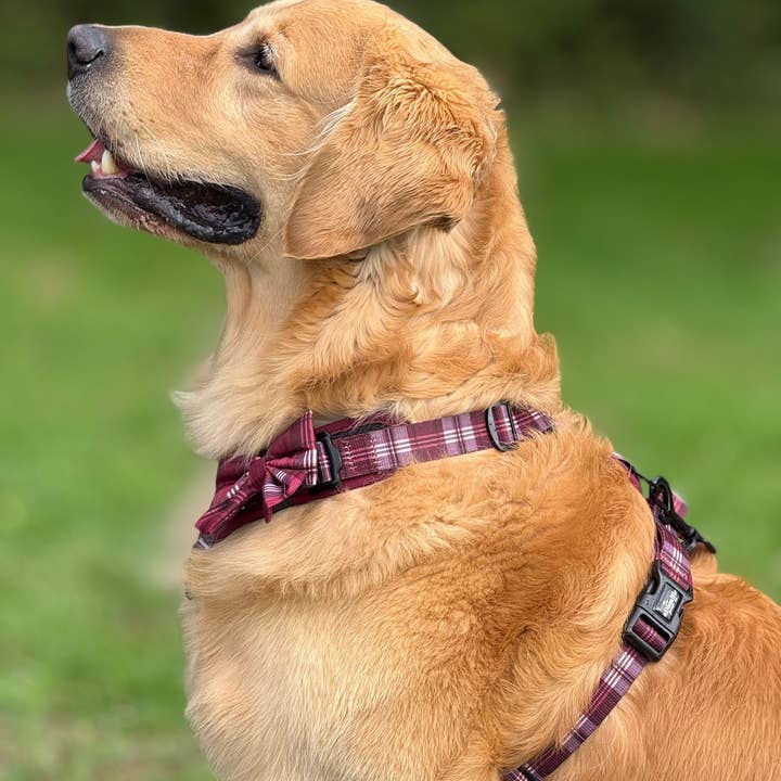 The aDoraBle Pooch Company - Wholesale Pet Harness - Dog - Streamline Pro™ Dog Harness - Heritage Collection - Merlot Manor27