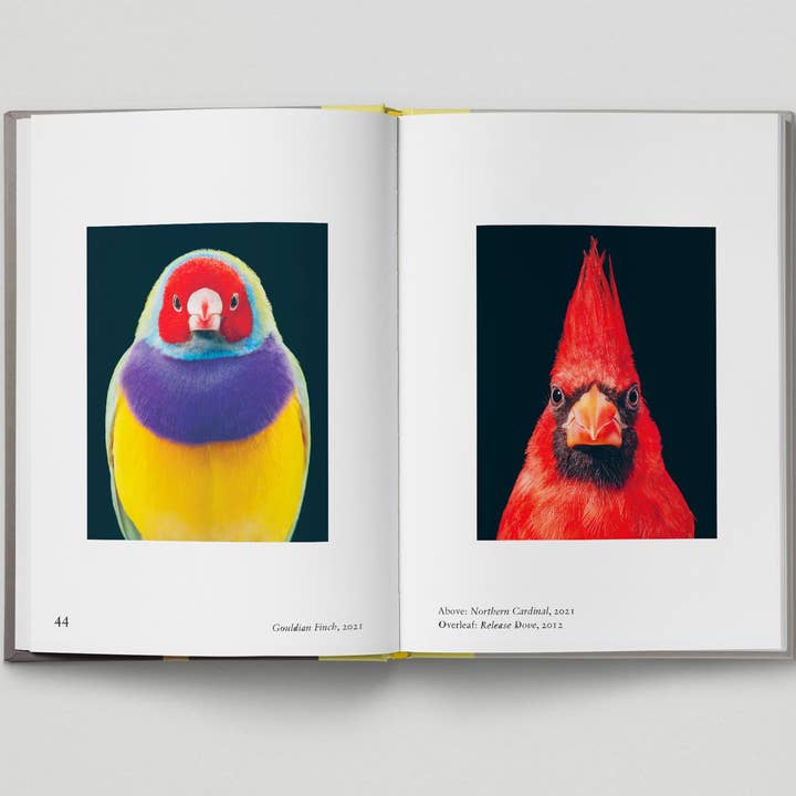 Hoxton Mini Press – wholesale Display book – Bird.3