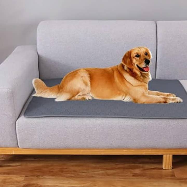 Conscious Generation - Wholesale Pet Mat - Dog - Washable Reusable Pee Pads Mats Puppy Training Pads 19"x23"1