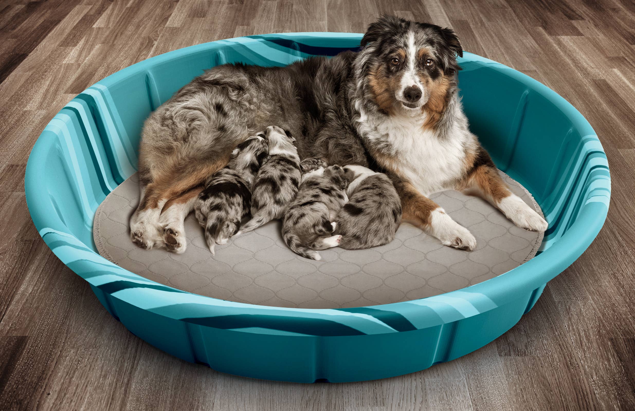 Pet Parents® - Wholesale Pet Pee Pad - Dog - Round Pawtect® Pads, Premium Washable Dog Pee Pads8