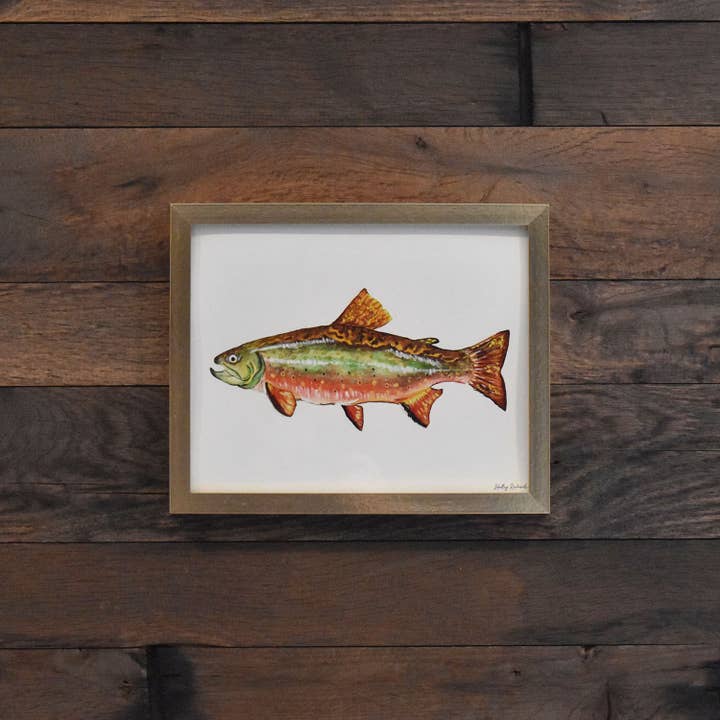 Brook Trout 8x10 Akvareltryk for engroshandel hos Hadley Richards Designs