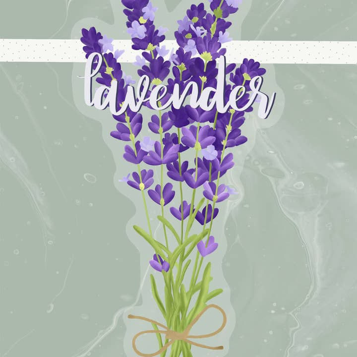 Kellio Studio - Venta al por mayor Pegatina - Pegatinas para plantas3