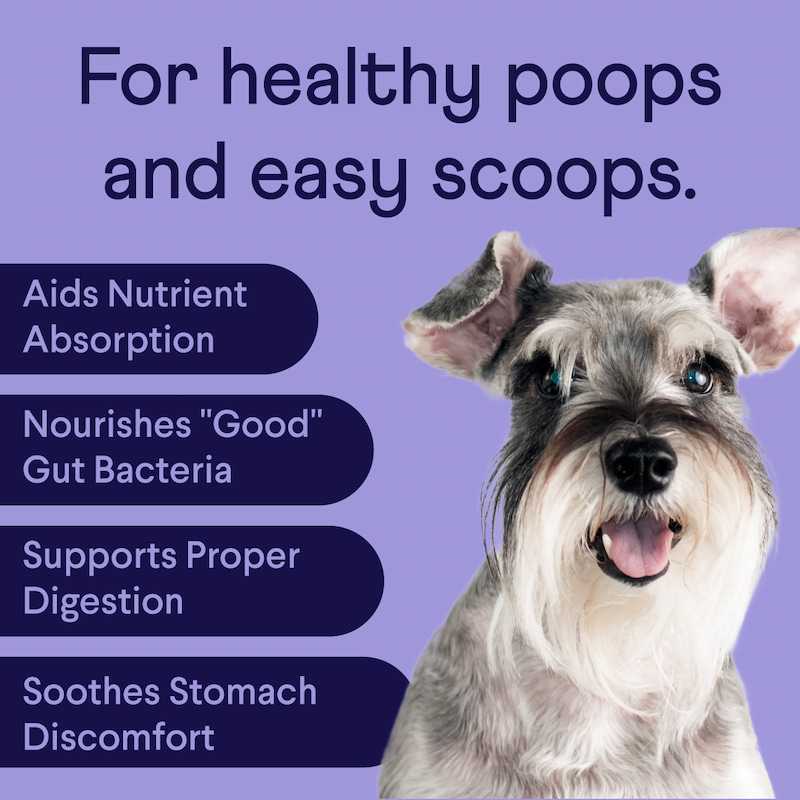 Finn - Wholesale Pet Supplement - Dog - Comfy Pup Bundle (OG)1