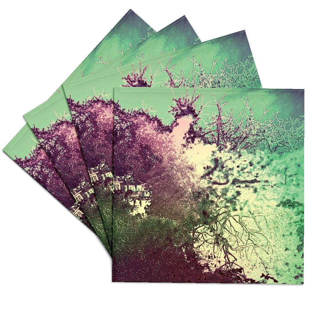 3dRose - Wholesale Coasters - 3dRose, Secluded Shoreline, Coaster0