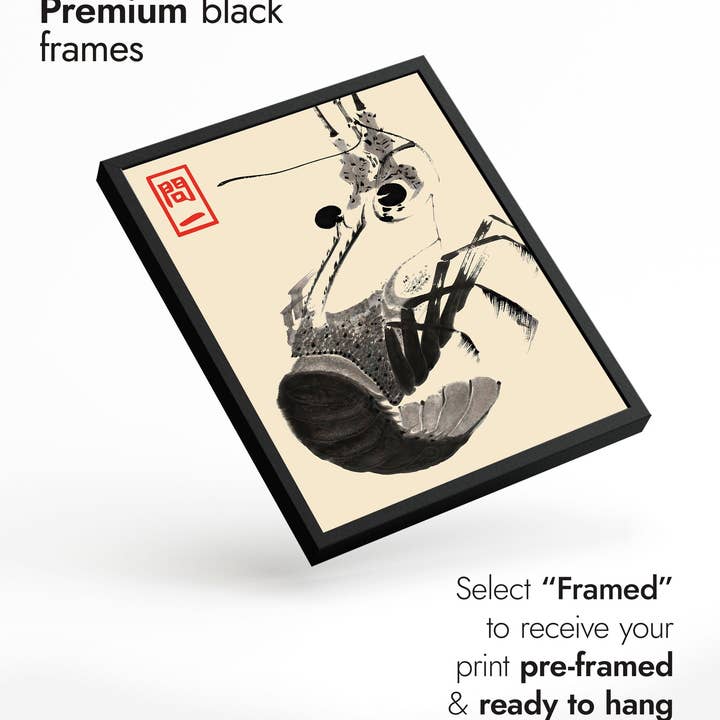 Animato – wholesale Art print – Shrimp3