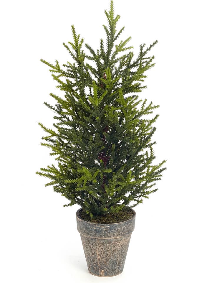 CEDAR W/POT 18.5" for wholesale by Studio Specialties