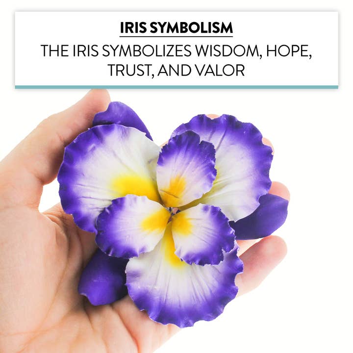 Global Sugar Art - Wholesale Cake/cupcake topper - Dutch Iris Sugar Cake Flower, Cake Topper by Global Sugar Art, Purple4