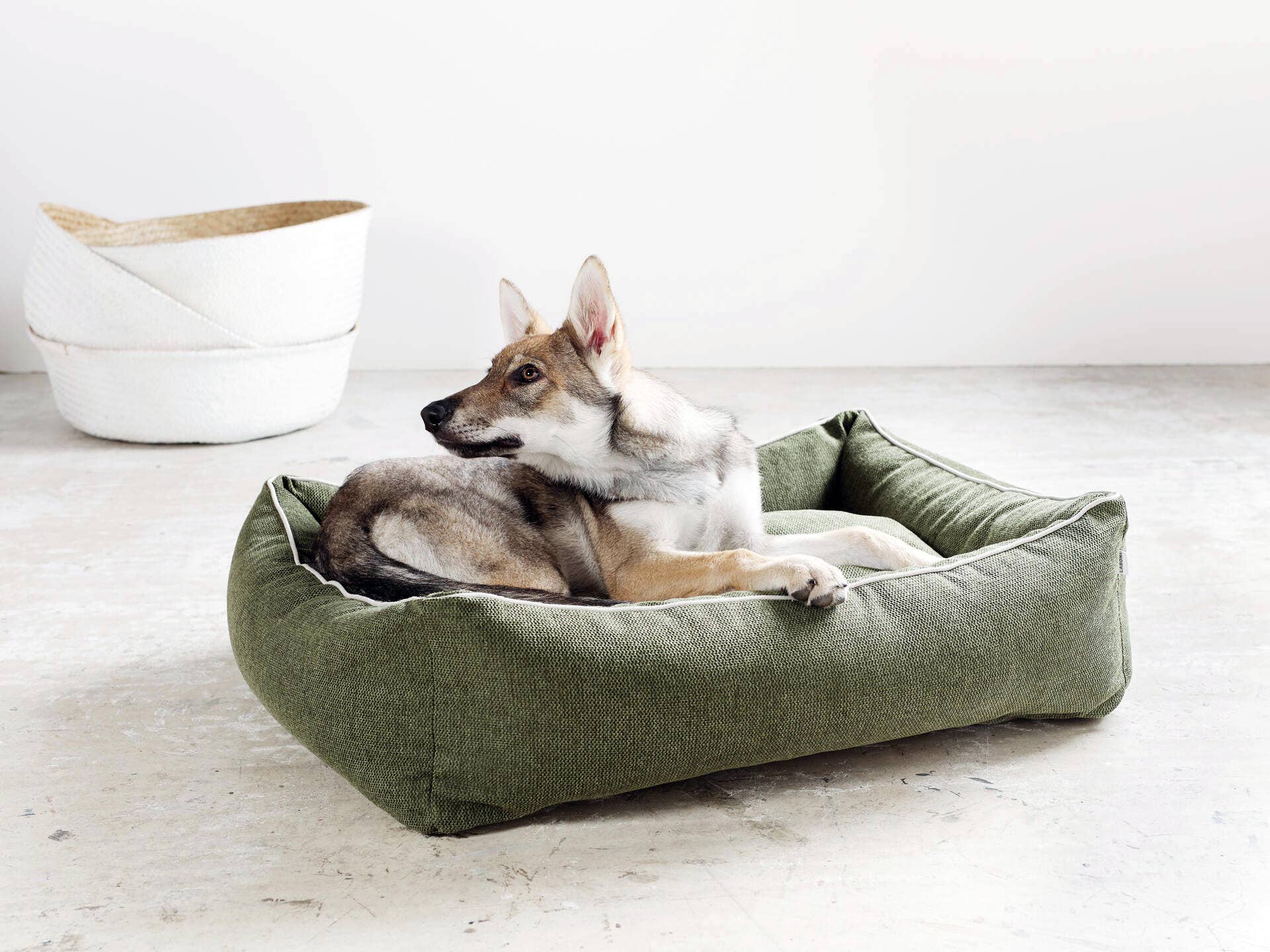LABONI - Volentis GmbH – wholesale Pet bed – Dog – DOGGY DOG16