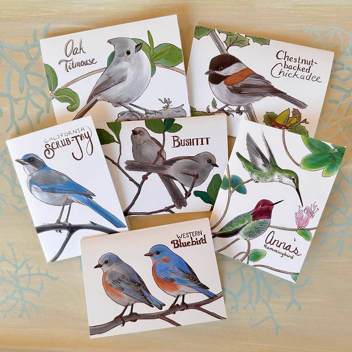 Set of 6 Blank Cards of Western Backyard Birds for wholesale by River Thrush Studio