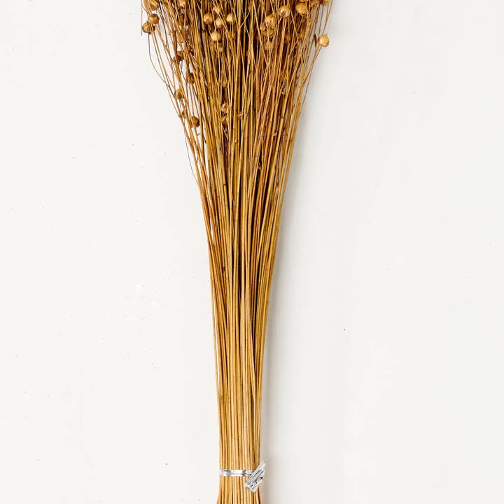 WORTH IMPORTS - Wholesale Dried/Pressed Flowers - 25" Lino Flax Grass Natural