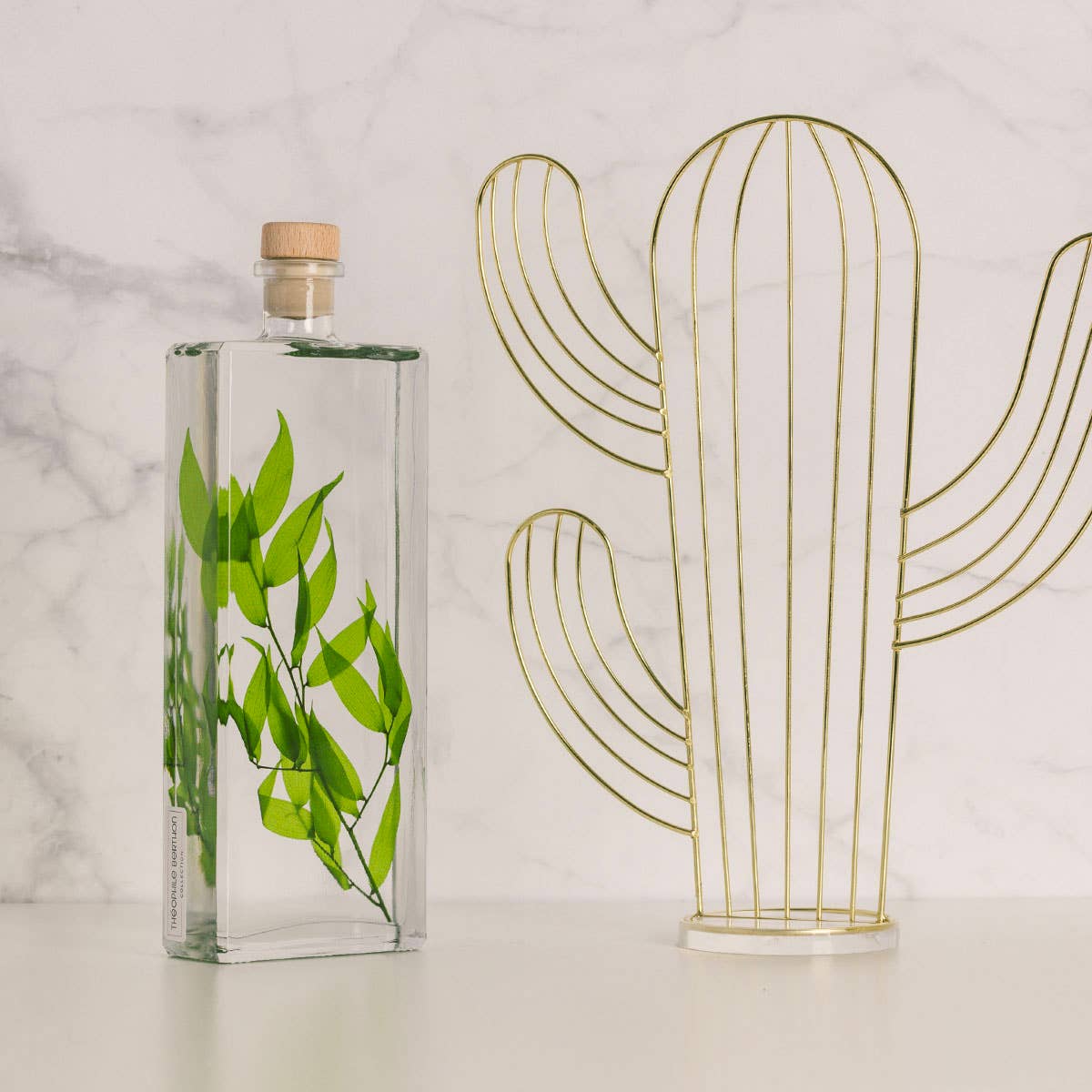 Theophile Berthon – Engroshandel Ægte plante – L'Herbarium Ruscus Italien lysegrøn - nedsænket plante4