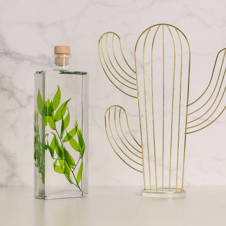 Theophile Berthon – Engroshandel Ægte plante – L'Herbarium Ruscus Italien lysegrøn - nedsænket plante4