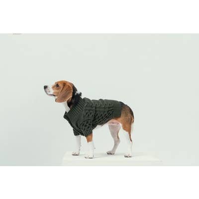 PEHOM - Wholesale Hondentrui - Hond - Vest met kraag voor huisdieren2