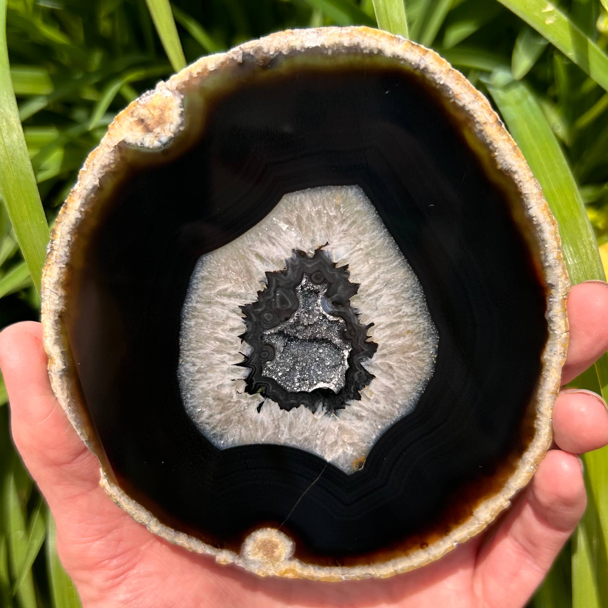 Quasar Gems USA - Vendita all'ingrosso Pietra/cristallo spirituale - Fette di Agata colorate10