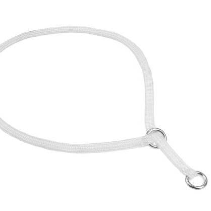 Alvalley – wholesale Halsband - Hund – Alvalley halsband med löpande ögla för utställning3